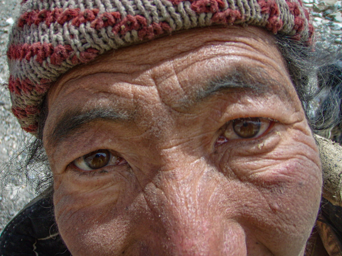 Tibetan Yak Herder