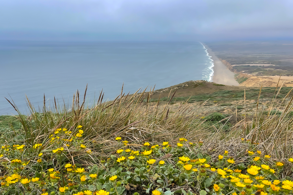 Point Reyes