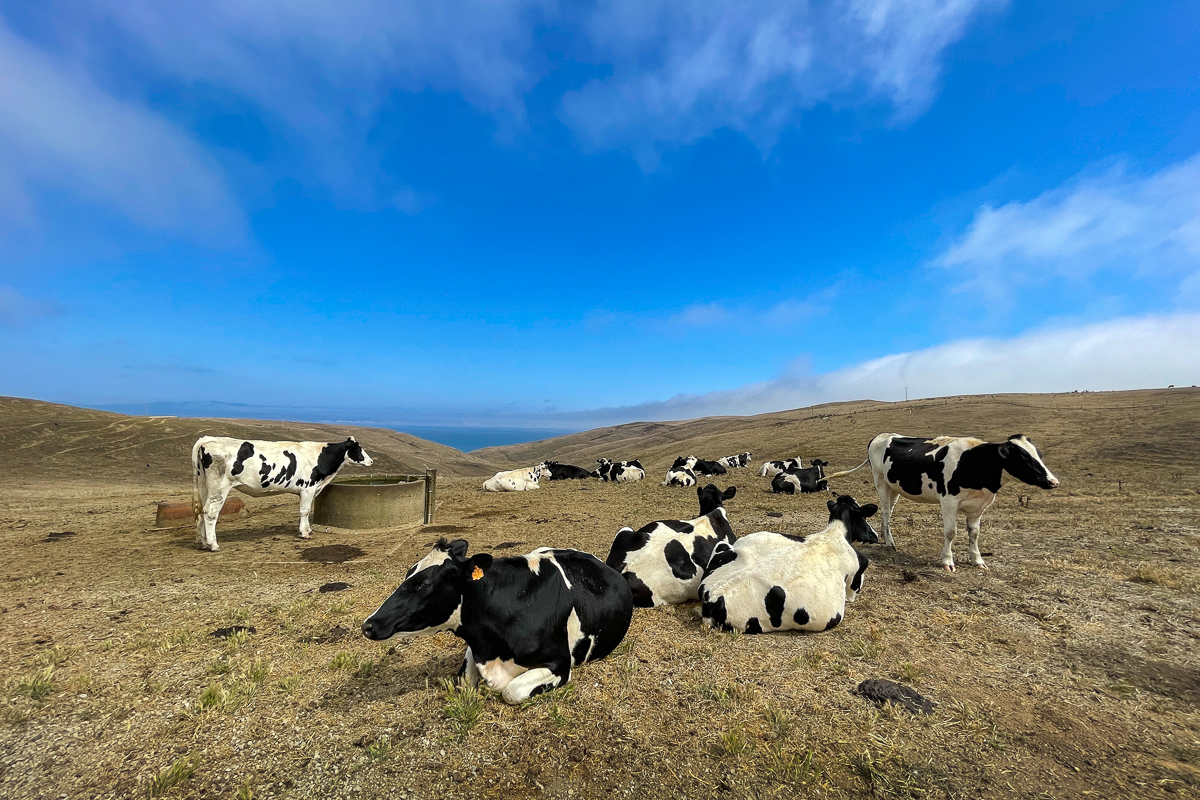Point Reyes