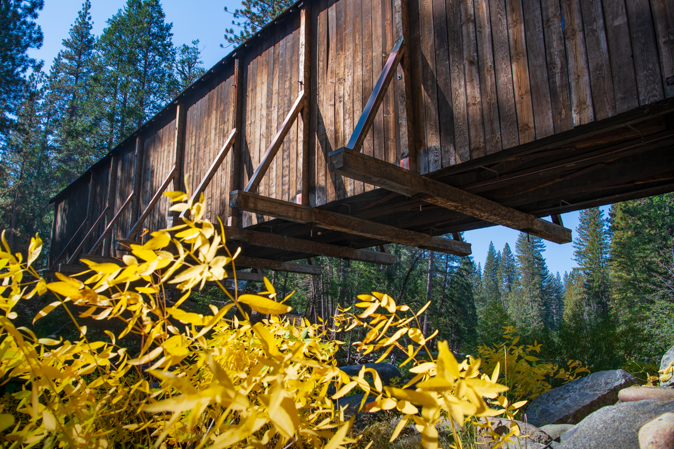 Covered Bridge - Yosemite
