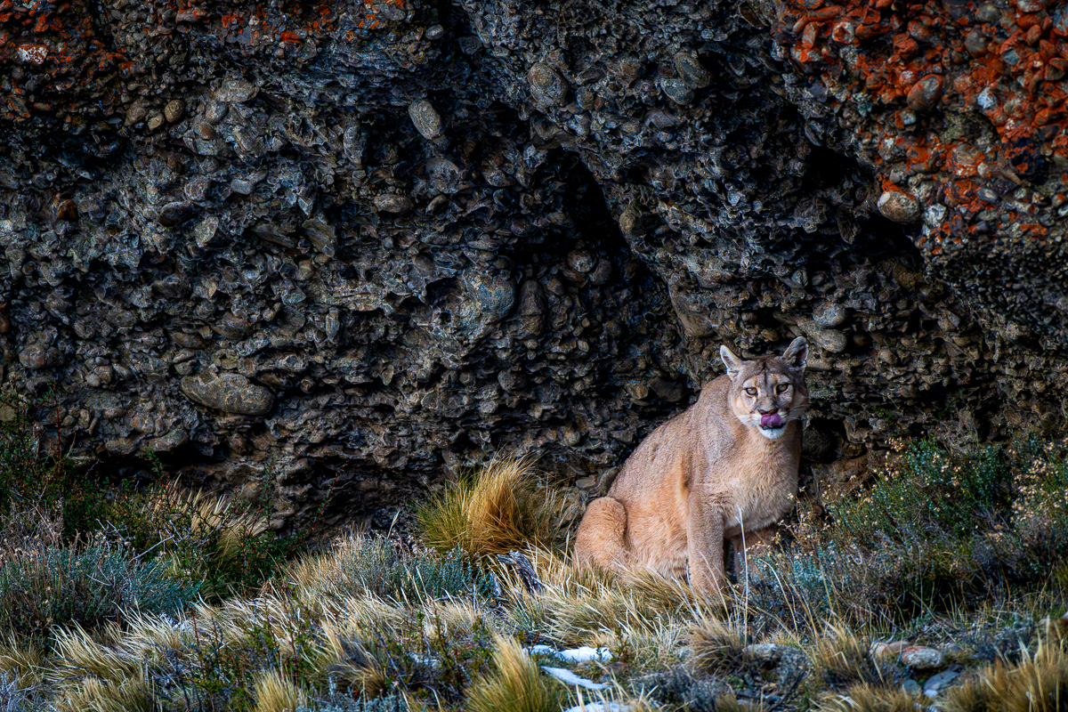 4:58:58PM