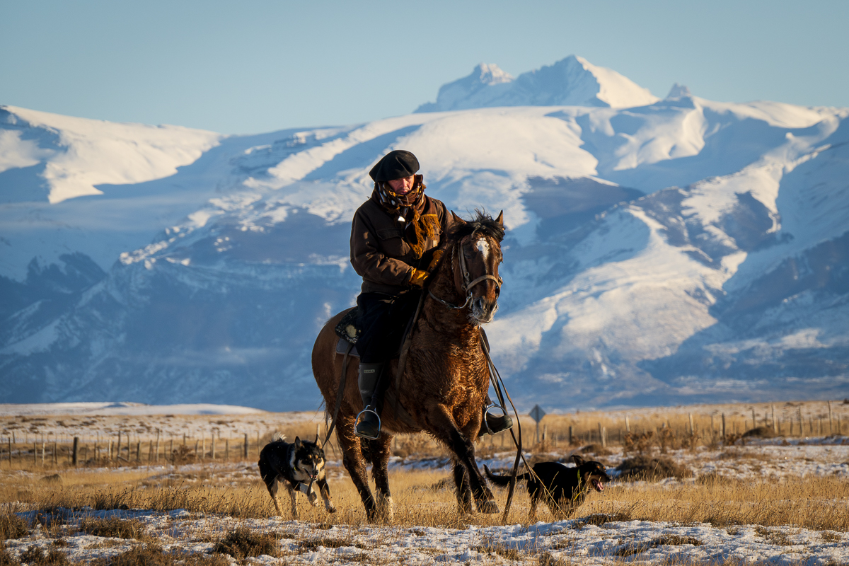 Otto and his Dogs - I loved watching his dogs!