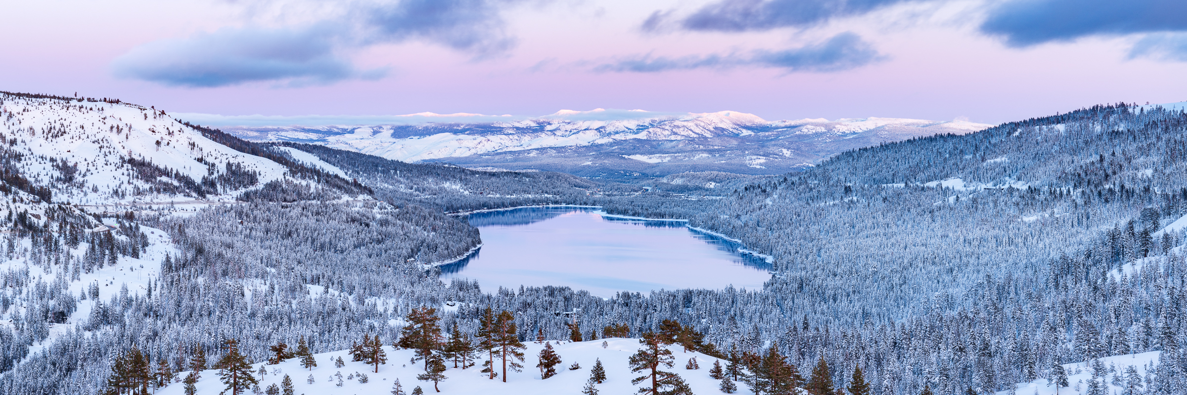 Pretty in Pink Panorama