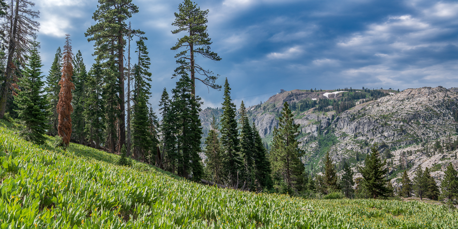 Granite Chief Panorama