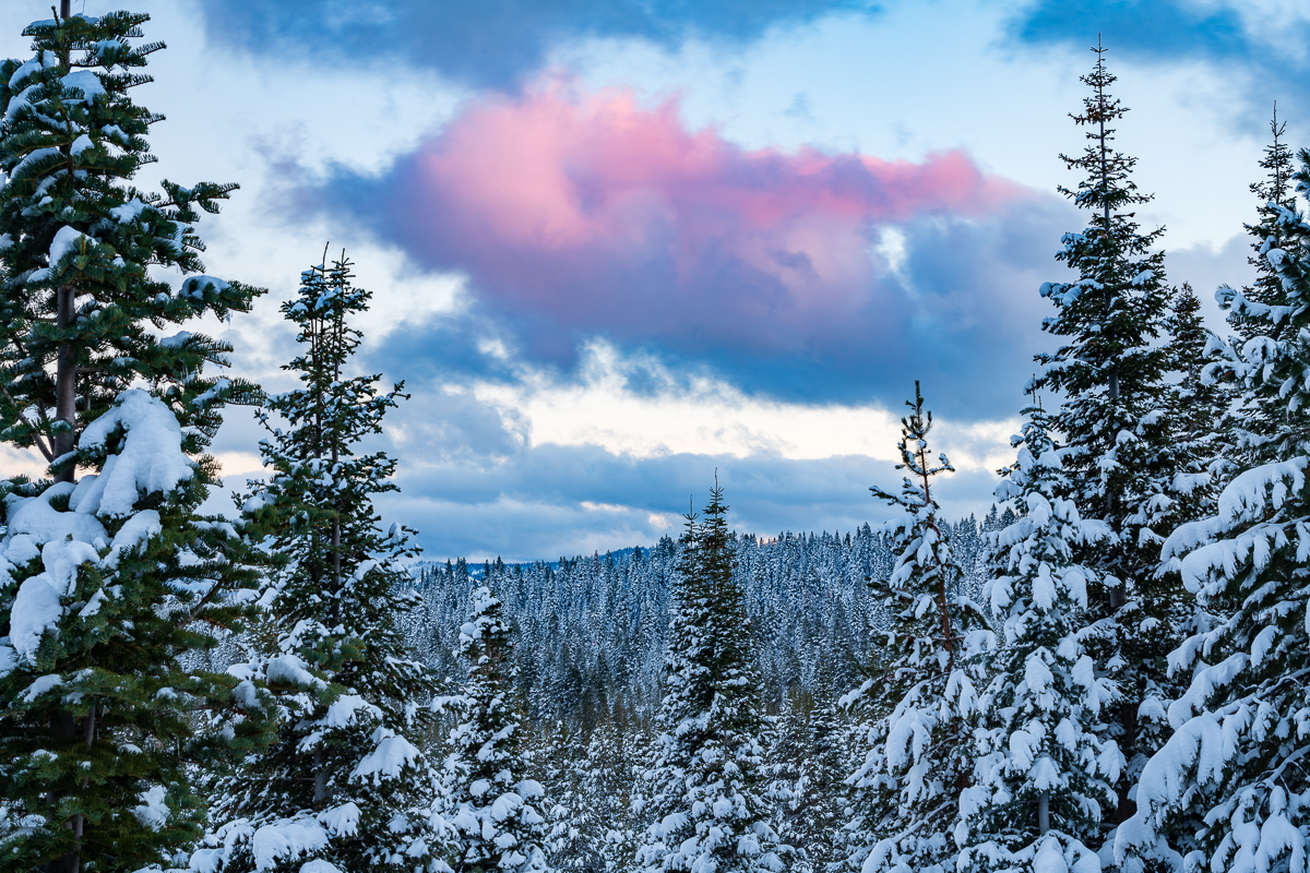 Winter