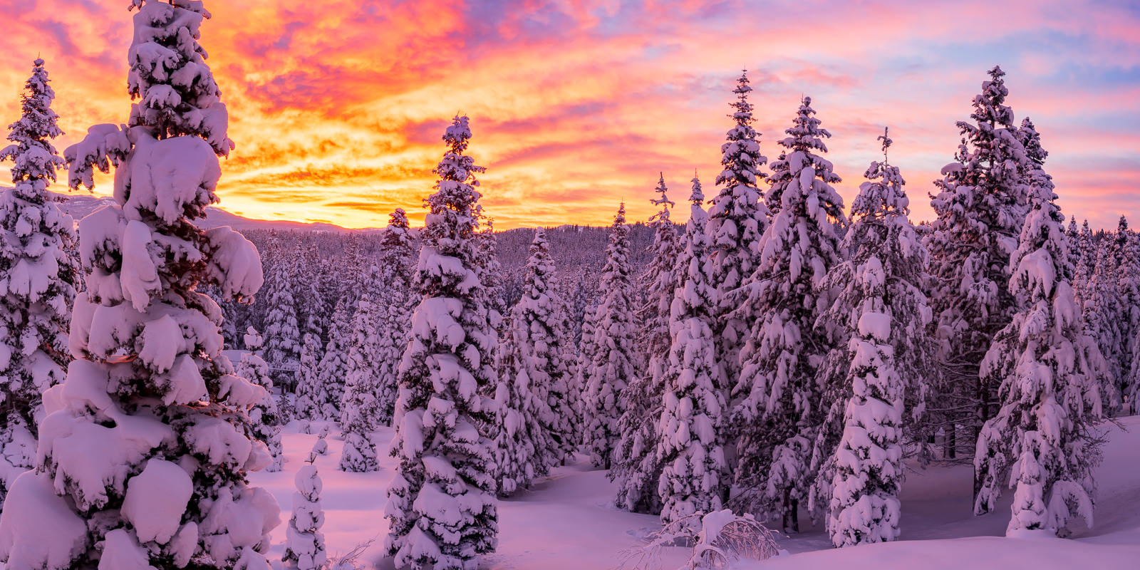 Before Sunrise, Tahoe Donner