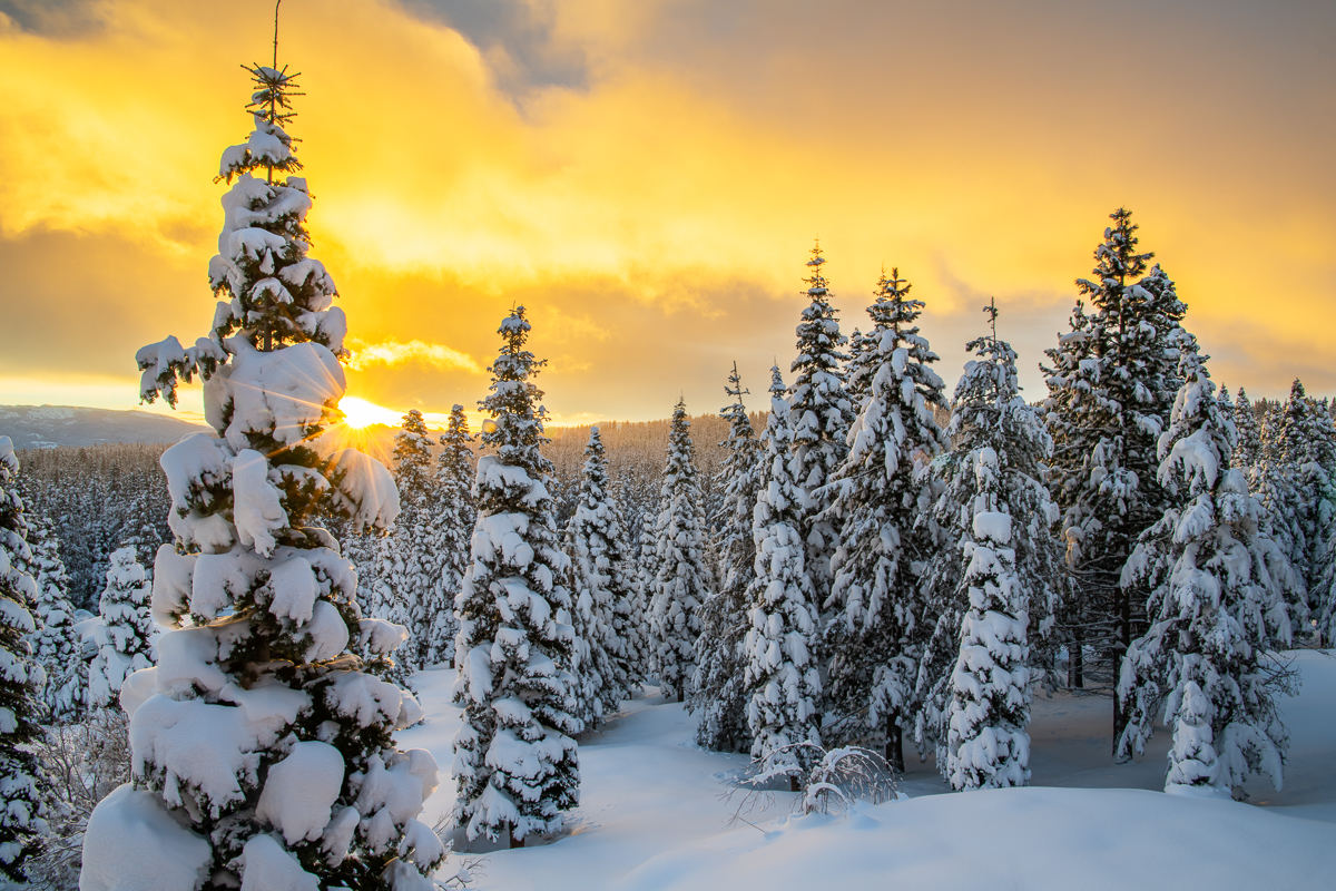 Good Morning, Tahoe Donner