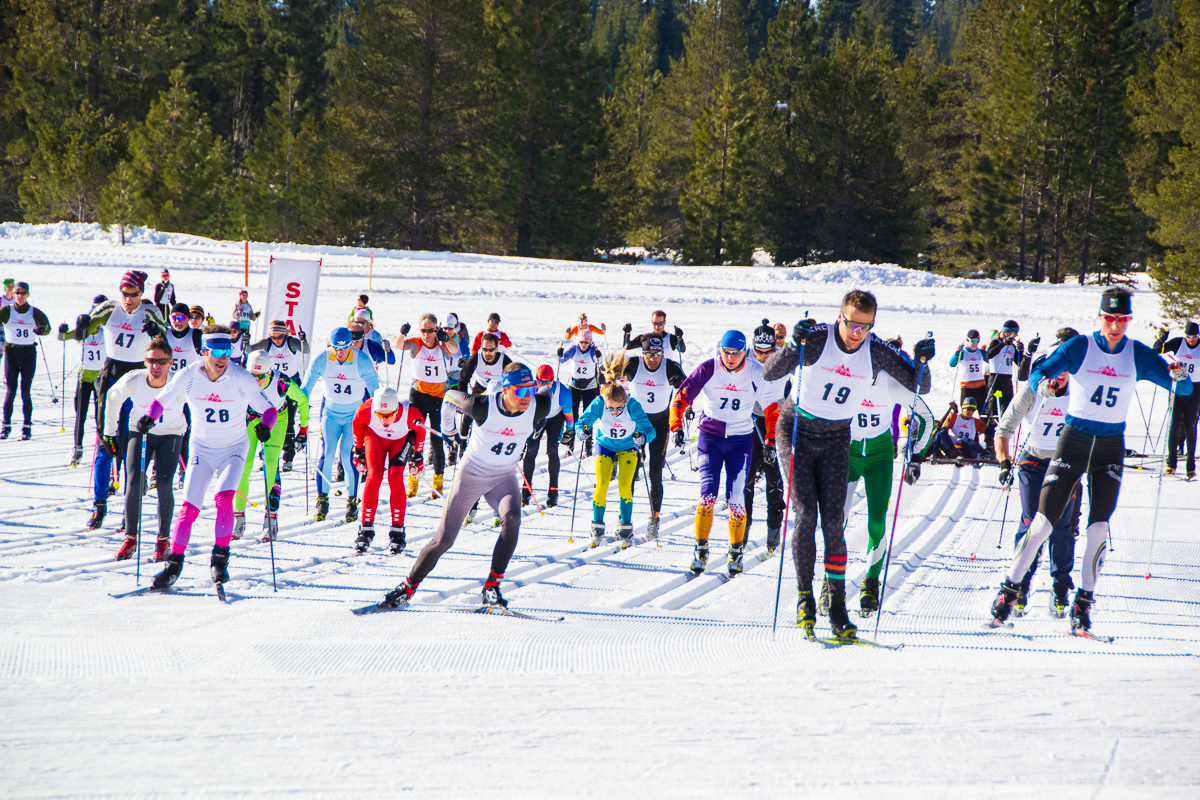 Skogsloppet 2019