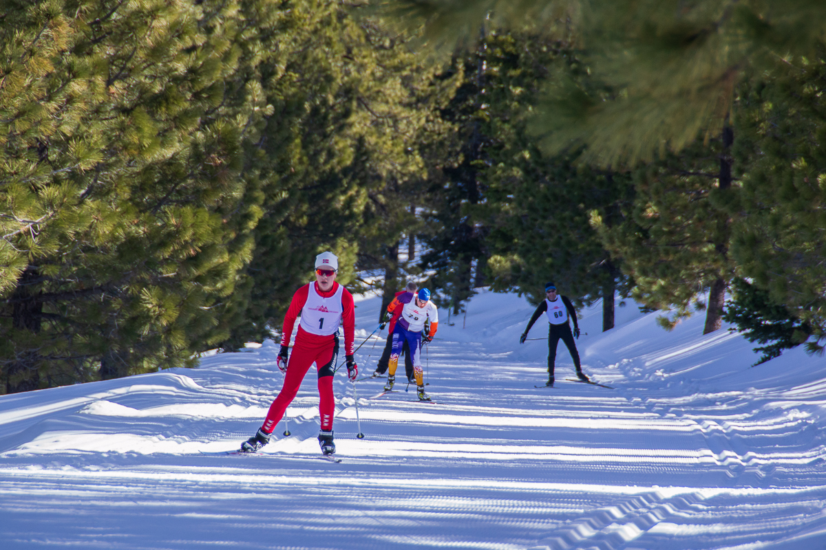 Skogsloppet 2019