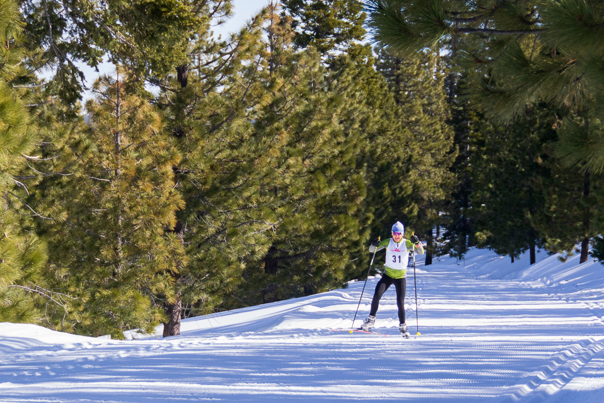 Skogsloppet 2019