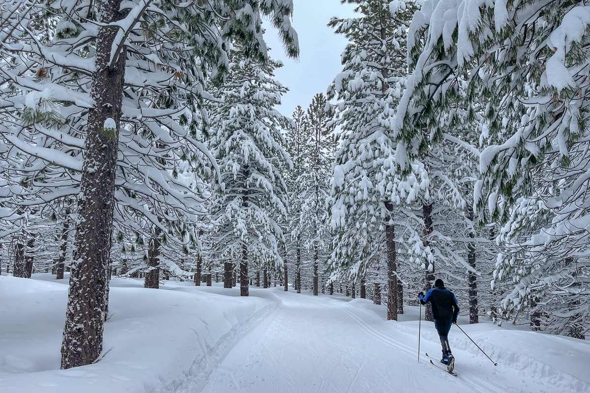 Cross Country Skiing - Tahoe Donner