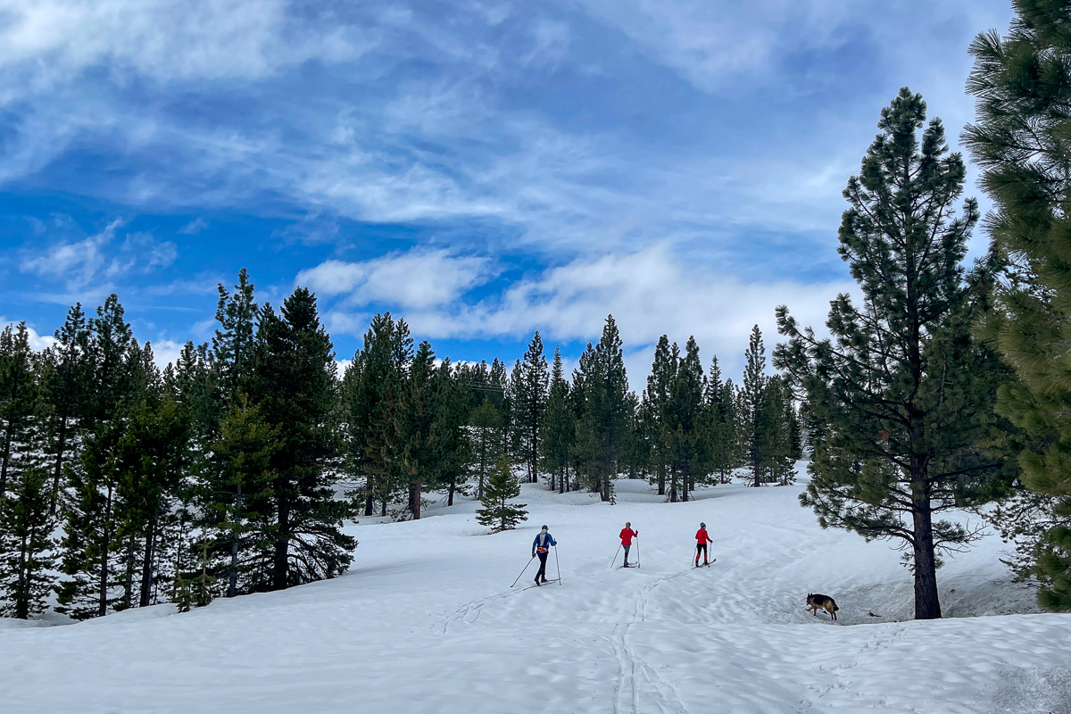 BC Cross Country Skiing - Tahoe Donner