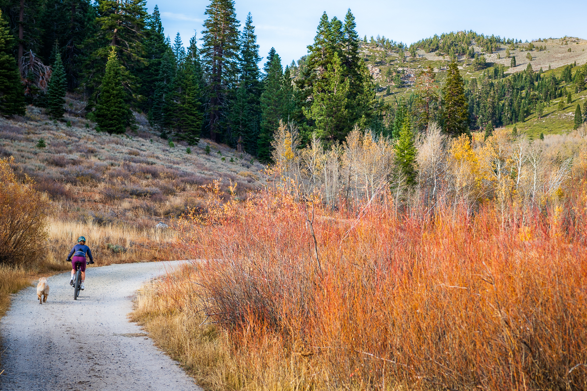 Marlette Lake