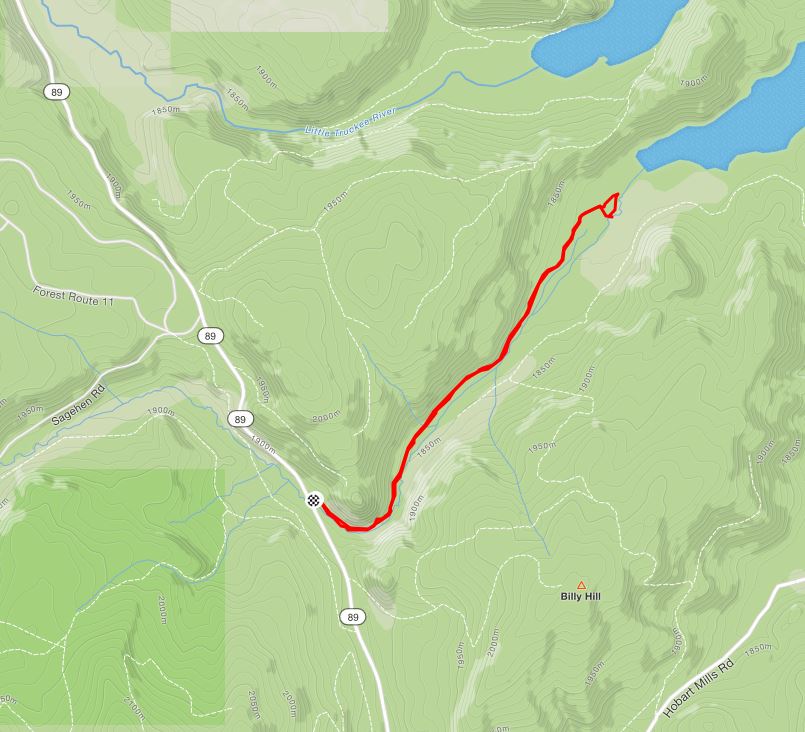 Sagehen Creek Trail