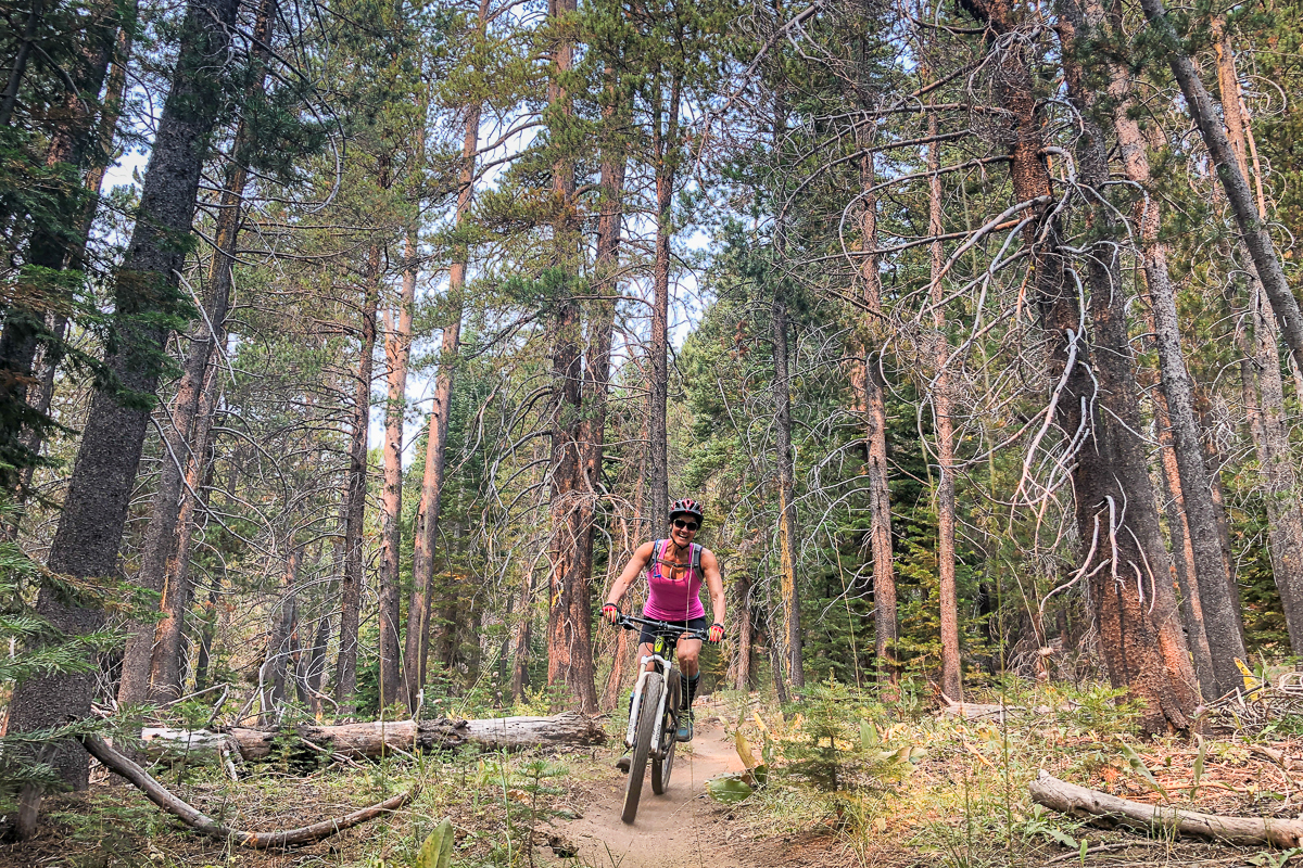 On the Trails